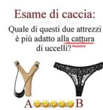 FB_IMG_1659248446240.jpg
