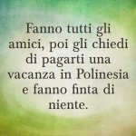 FB_IMG_1659352085557.jpg