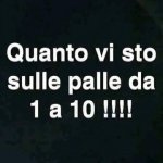 FB_IMG_1659419193123.jpg