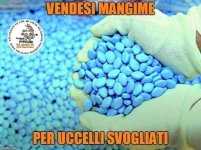 FB_IMG_1659506596686.jpg