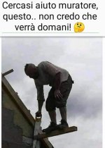 FB_IMG_1659506472414.jpg