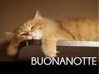 Immagini-e-frasi-della-buonanotte-7.jpg