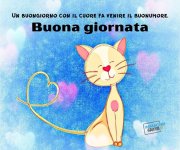 Buongiorno-264-800x670-1 (1).jpg