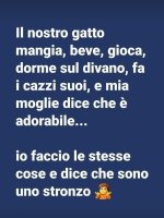 FB_IMG_1659709173398.jpg