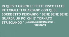 FB_IMG_1659887872438.jpg