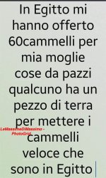 FB_IMG_1659862333293.jpg