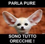 FB_IMG_1659679311250.jpg