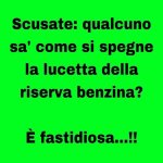 FB_IMG_1659972812388.jpg