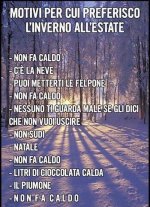 FB_IMG_1659940212602.jpg