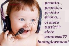 FB_IMG_1659947315930.jpg