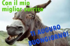 images (1).jpeg