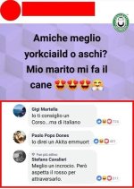 FB_IMG_1660026381645.jpg