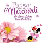Buongiorno-Mercoledì-Immagini-Belle-15.jpg
