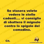 FB_IMG_1660148227917.jpg