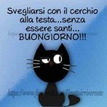 FB_IMG_1631860546590.jpg