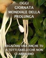 FB_IMG_1660235451412.jpg