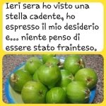 FB_IMG_1660235298831.jpg