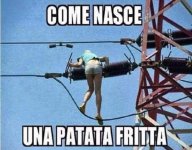 FB_IMG_1660111618336.jpg