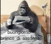 FB_IMG_1660201461060.jpg
