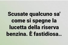 FB_IMG_1660322959757.jpg
