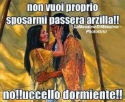 FB_IMG_1660299102229.jpg
