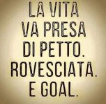 FB_IMG_1660284775432.jpg