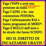 FB_IMG_1660371358492.jpg