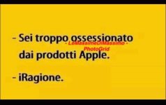 FB_IMG_1660570120562.jpg