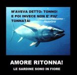 FB_IMG_1660552474511.jpg