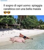 FB_IMG_1660645013417.jpg