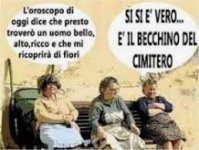 images (4).jpeg