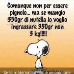 FB_IMG_1660716487027.jpg