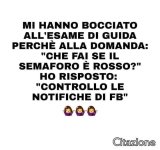 FB_IMG_1660716087086.jpg