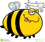 cartoon-drunk-bee-illustration-looking-47088599.jpg