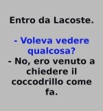 FB_IMG_1661013323442.jpg