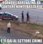 FB_IMG_1660992258960.jpg
