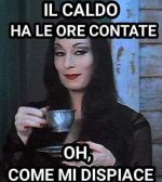 FB_IMG_1661063301875.jpg