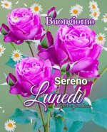 FB_IMG_1661147026055.jpg