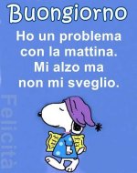 FB_IMG_1661147132610.jpg
