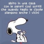 FB_IMG_1661271156321.jpg