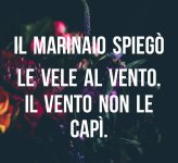 FB_IMG_1661356757065.jpg