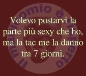 FB_IMG_1661338362571.jpg