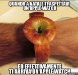 FB_IMG_1661321080006.jpg