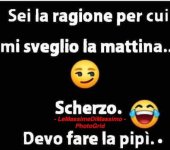 FB_IMG_1661440634372.jpg
