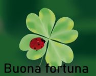 coccinella5_3.jpg