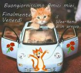 3a54ed08de907e46ec8f37fd009bd62c.jpg