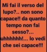 FB_IMG_1661674851042.jpg