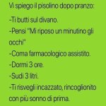 FB_IMG_1661579486969.jpg