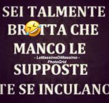 FB_IMG_1661579510448.jpg