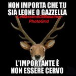 FB_IMG_1661938142602.jpg